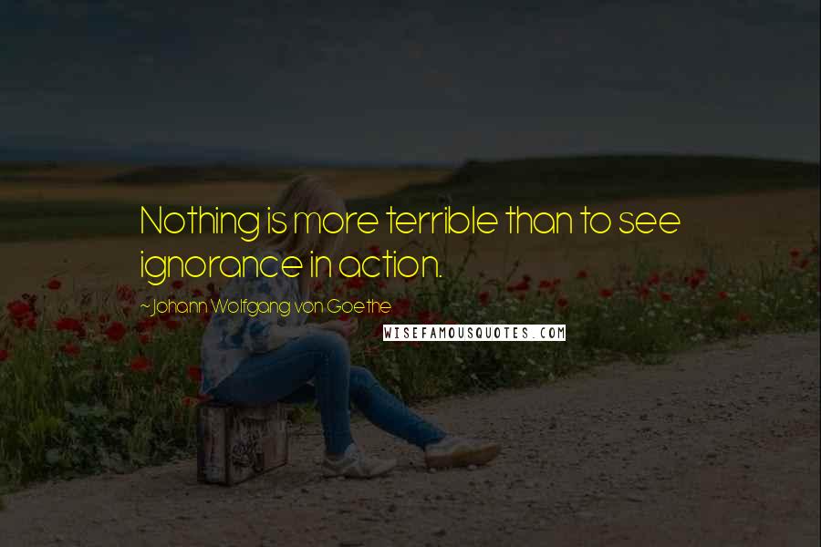 Johann Wolfgang Von Goethe Quotes: Nothing is more terrible than to see ignorance in action.
