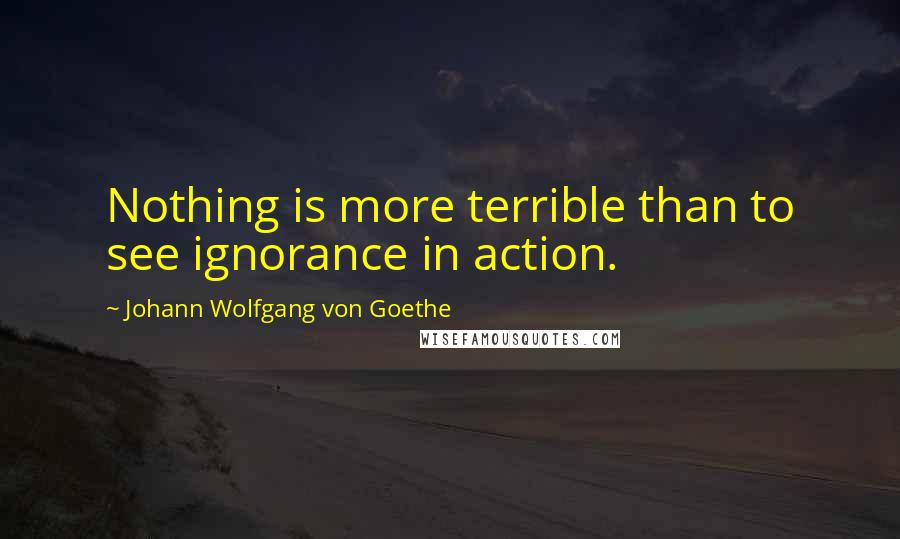 Johann Wolfgang Von Goethe Quotes: Nothing is more terrible than to see ignorance in action.