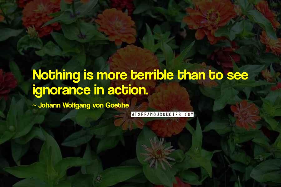 Johann Wolfgang Von Goethe Quotes: Nothing is more terrible than to see ignorance in action.