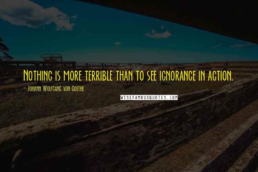 Johann Wolfgang Von Goethe Quotes: Nothing is more terrible than to see ignorance in action.