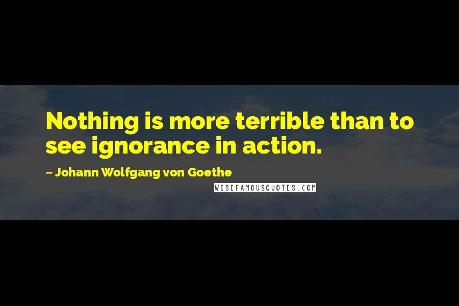 Johann Wolfgang Von Goethe Quotes: Nothing is more terrible than to see ignorance in action.