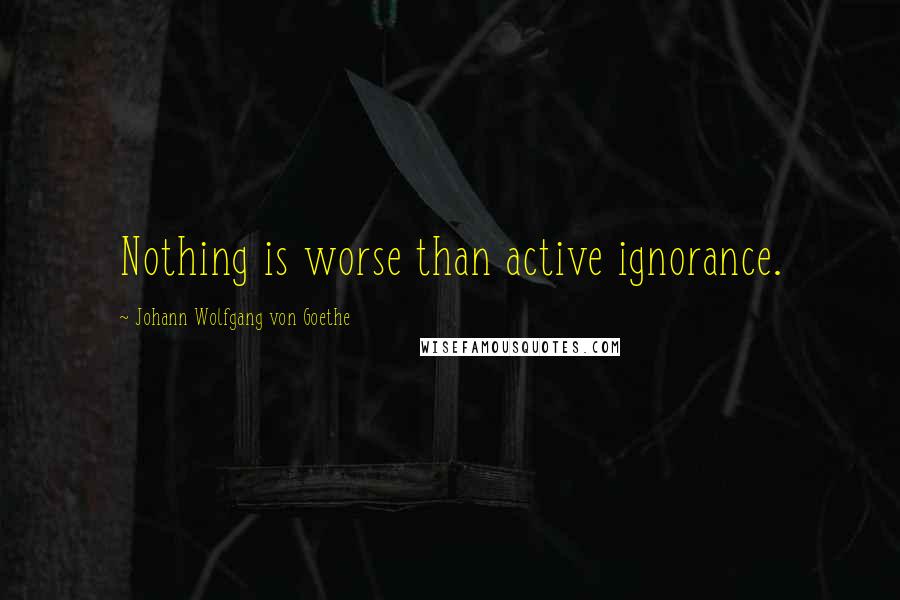 Johann Wolfgang Von Goethe Quotes: Nothing is worse than active ignorance.