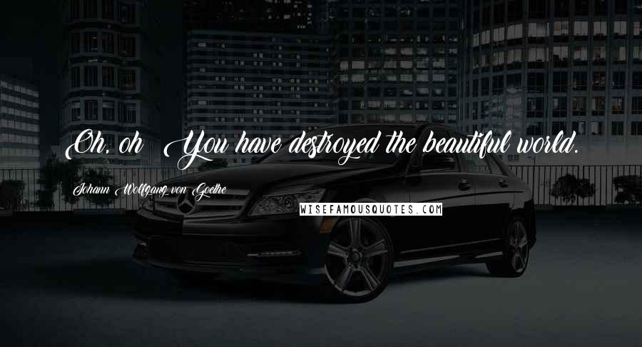Johann Wolfgang Von Goethe Quotes: Oh, oh! You have destroyed the beautiful world.