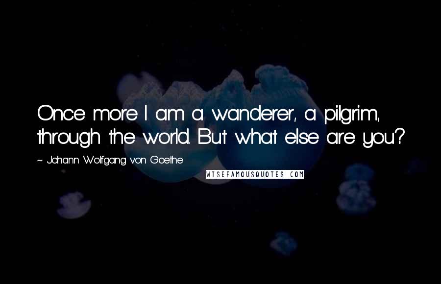 Johann Wolfgang Von Goethe Quotes: Once more I am a wanderer, a pilgrim, through the world. But what else are you?