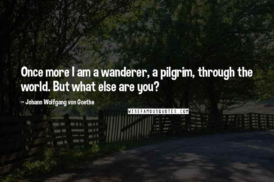 Johann Wolfgang Von Goethe Quotes: Once more I am a wanderer, a pilgrim, through the world. But what else are you?