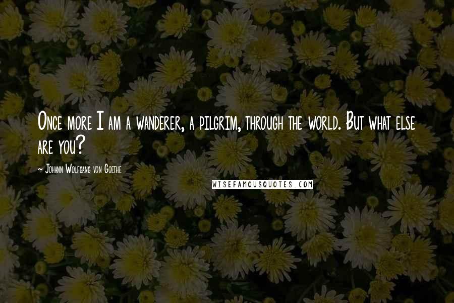 Johann Wolfgang Von Goethe Quotes: Once more I am a wanderer, a pilgrim, through the world. But what else are you?