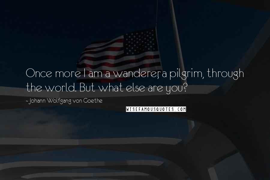 Johann Wolfgang Von Goethe Quotes: Once more I am a wanderer, a pilgrim, through the world. But what else are you?