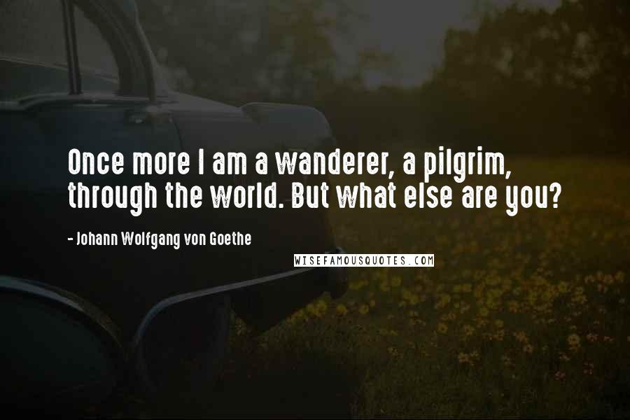 Johann Wolfgang Von Goethe Quotes: Once more I am a wanderer, a pilgrim, through the world. But what else are you?