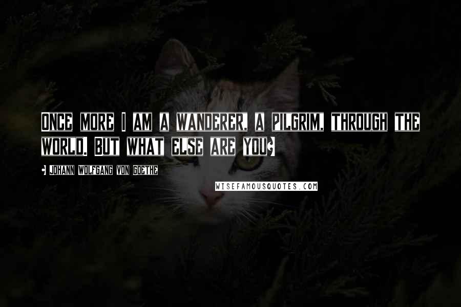 Johann Wolfgang Von Goethe Quotes: Once more I am a wanderer, a pilgrim, through the world. But what else are you?