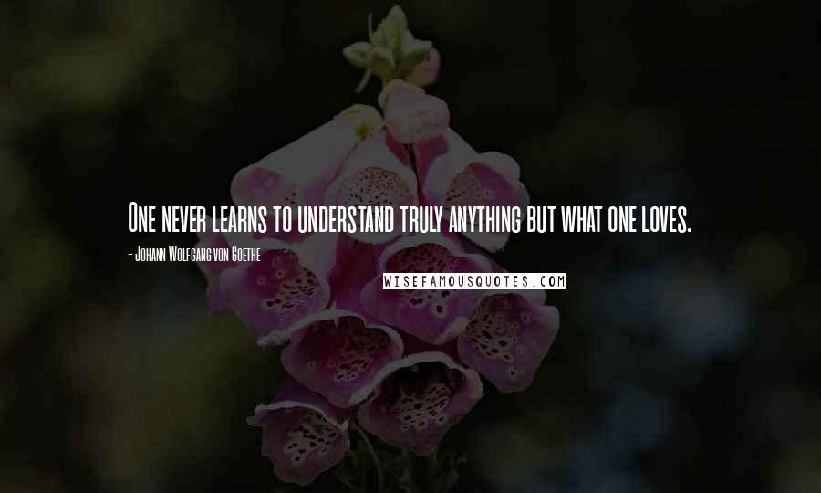 Johann Wolfgang Von Goethe Quotes: One never learns to understand truly anything but what one loves.