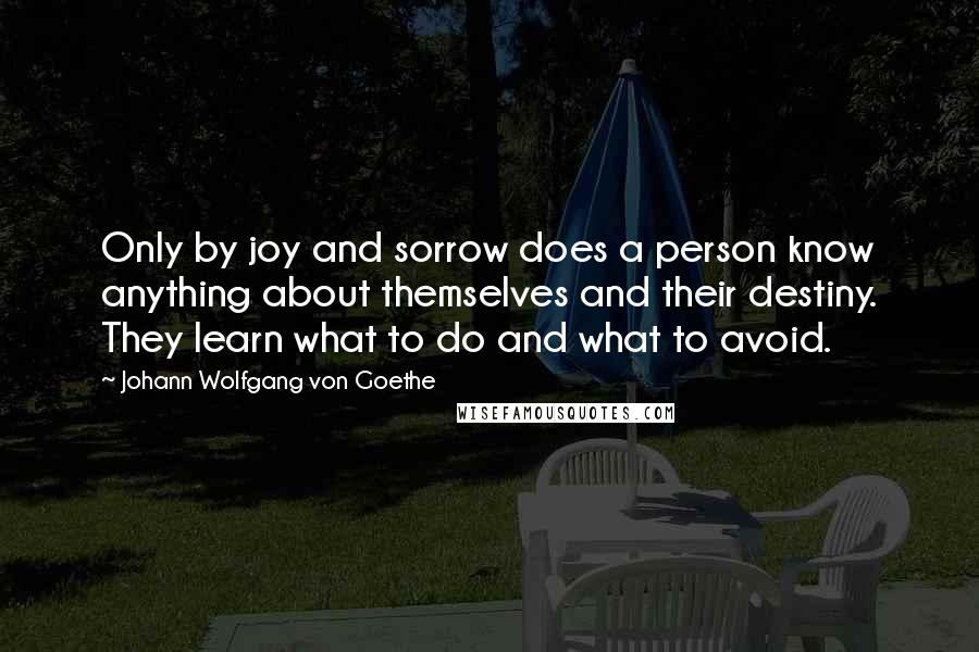 Johann Wolfgang Von Goethe Quotes: Only by joy and sorrow does a person know anything about themselves and their destiny. They learn what to do and what to avoid.