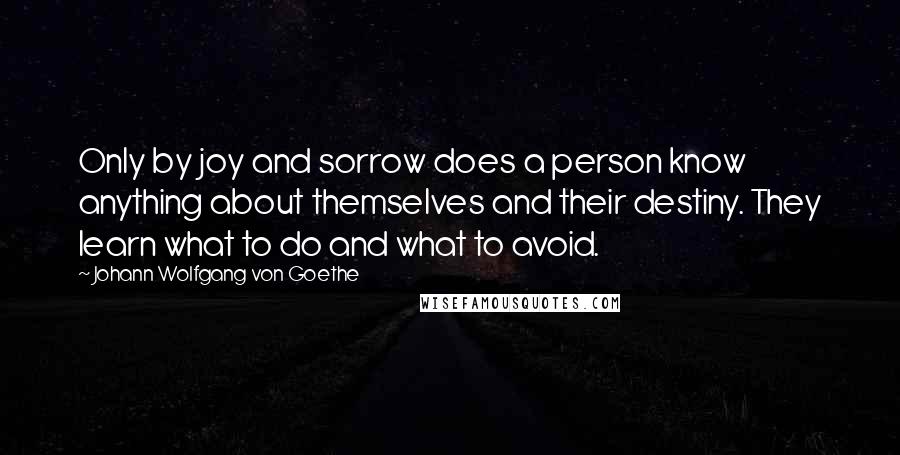 Johann Wolfgang Von Goethe Quotes: Only by joy and sorrow does a person know anything about themselves and their destiny. They learn what to do and what to avoid.