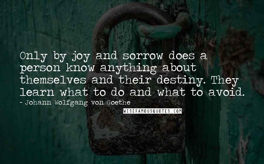 Johann Wolfgang Von Goethe Quotes: Only by joy and sorrow does a person know anything about themselves and their destiny. They learn what to do and what to avoid.