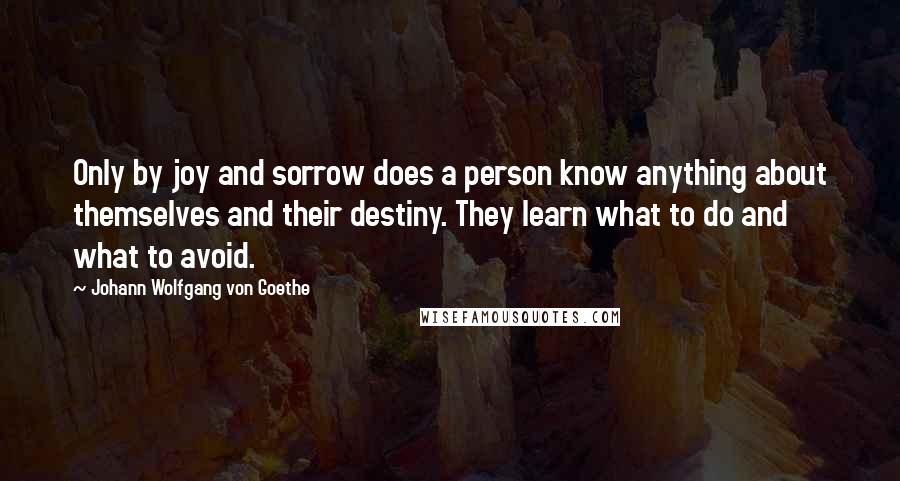 Johann Wolfgang Von Goethe Quotes: Only by joy and sorrow does a person know anything about themselves and their destiny. They learn what to do and what to avoid.