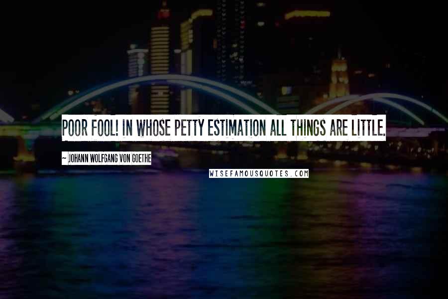 Johann Wolfgang Von Goethe Quotes: Poor fool! in whose petty estimation all things are little.