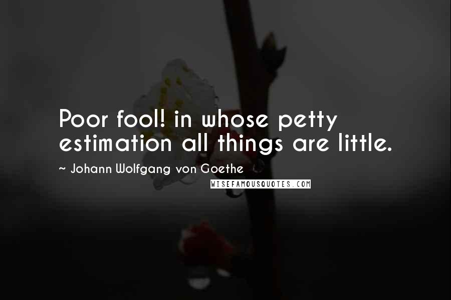 Johann Wolfgang Von Goethe Quotes: Poor fool! in whose petty estimation all things are little.