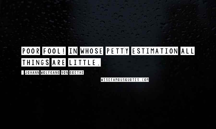 Johann Wolfgang Von Goethe Quotes: Poor fool! in whose petty estimation all things are little.