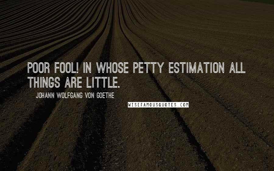 Johann Wolfgang Von Goethe Quotes: Poor fool! in whose petty estimation all things are little.