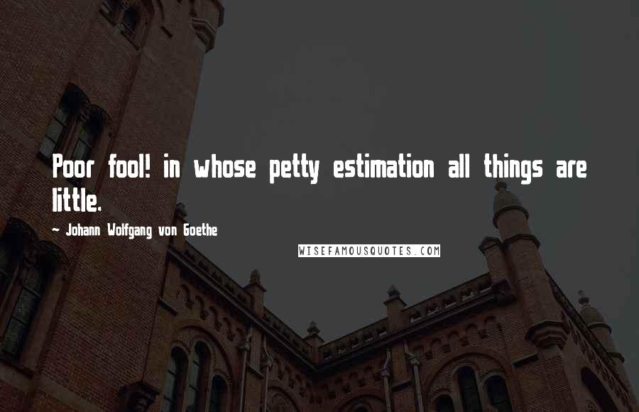 Johann Wolfgang Von Goethe Quotes: Poor fool! in whose petty estimation all things are little.