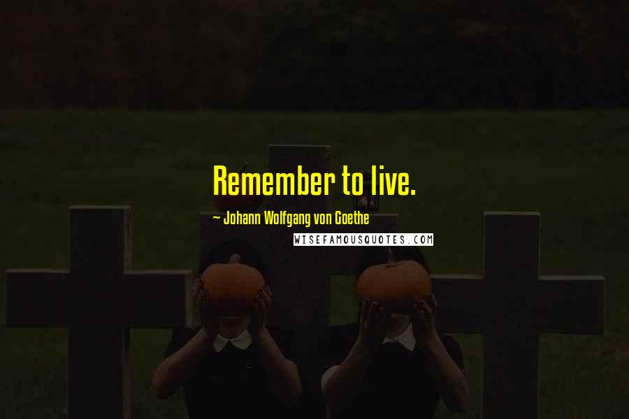 Johann Wolfgang Von Goethe Quotes: Remember to live.