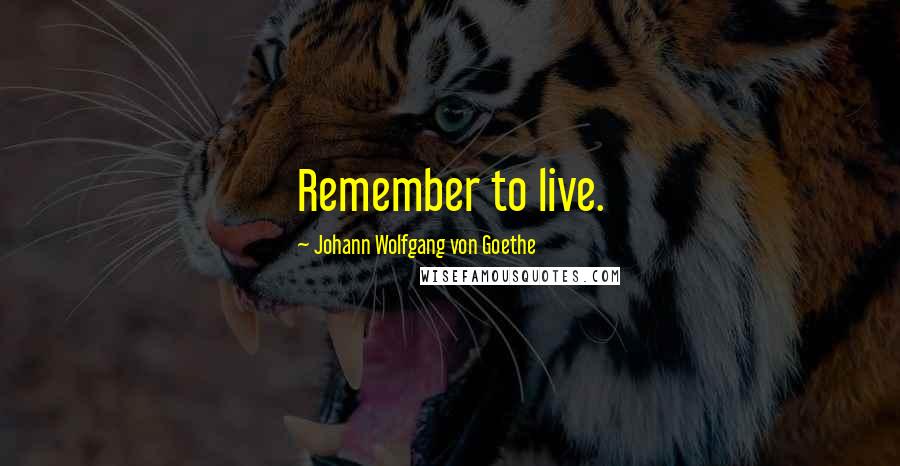 Johann Wolfgang Von Goethe Quotes: Remember to live.