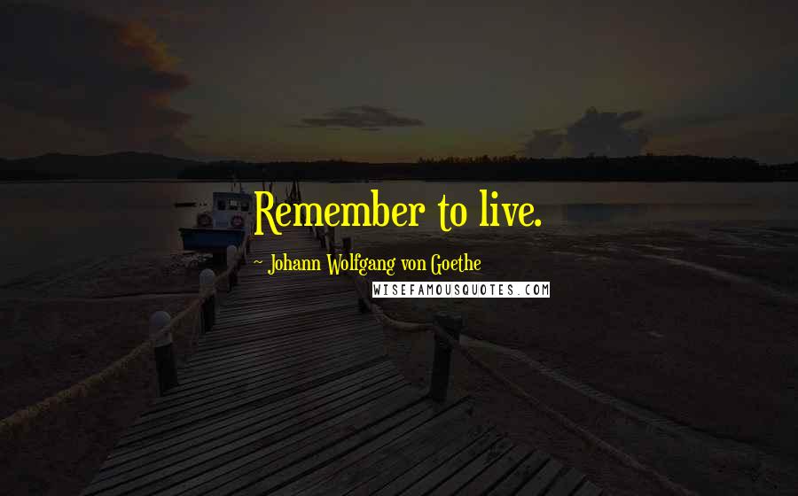 Johann Wolfgang Von Goethe Quotes: Remember to live.