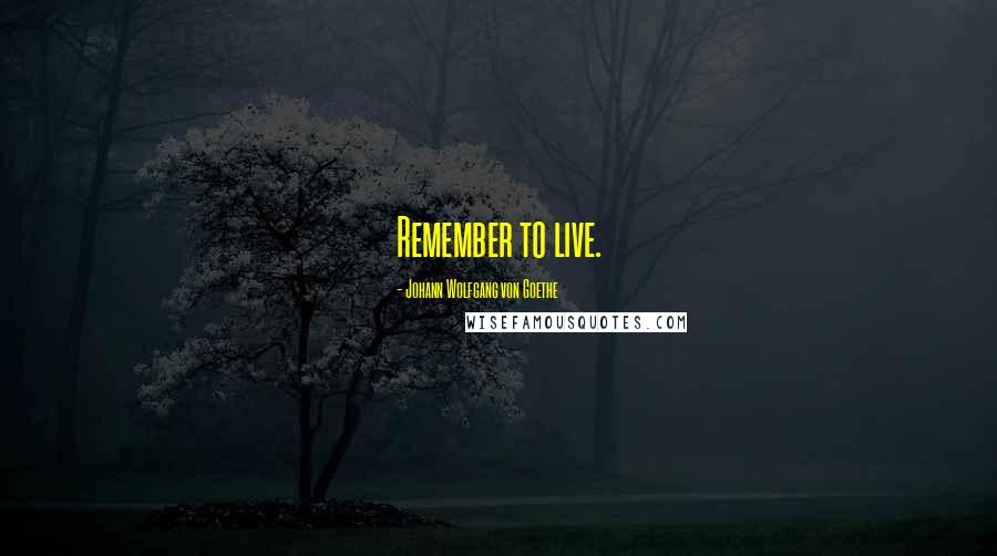 Johann Wolfgang Von Goethe Quotes: Remember to live.