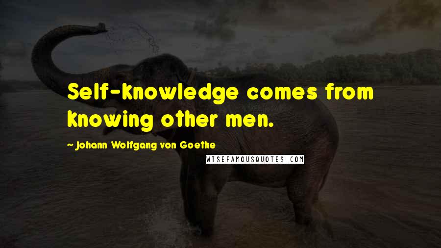 Johann Wolfgang Von Goethe Quotes: Self-knowledge comes from knowing other men.