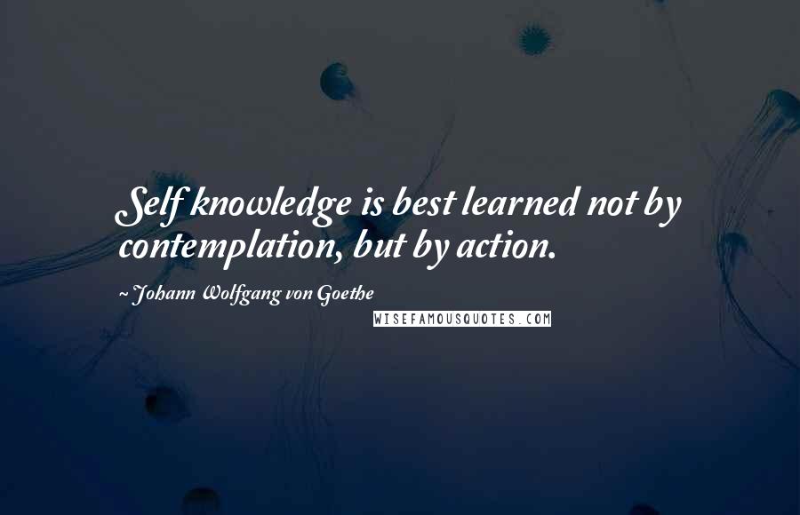 Johann Wolfgang Von Goethe Quotes: Self knowledge is best learned not by contemplation, but by action.