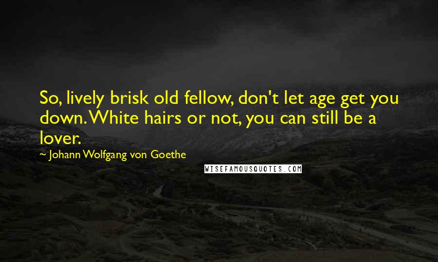 Johann Wolfgang Von Goethe Quotes: So, lively brisk old fellow, don't let age get you down. White hairs or not, you can still be a lover.