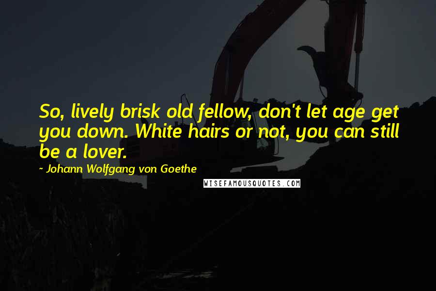 Johann Wolfgang Von Goethe Quotes: So, lively brisk old fellow, don't let age get you down. White hairs or not, you can still be a lover.