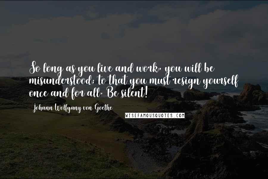 Johann Wolfgang Von Goethe Quotes: So long as you live and work, you will be misunderstood; to that you must resign yourself once and for all. Be silent!