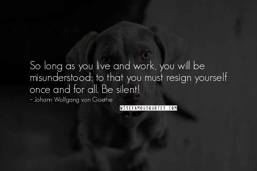 Johann Wolfgang Von Goethe Quotes: So long as you live and work, you will be misunderstood; to that you must resign yourself once and for all. Be silent!