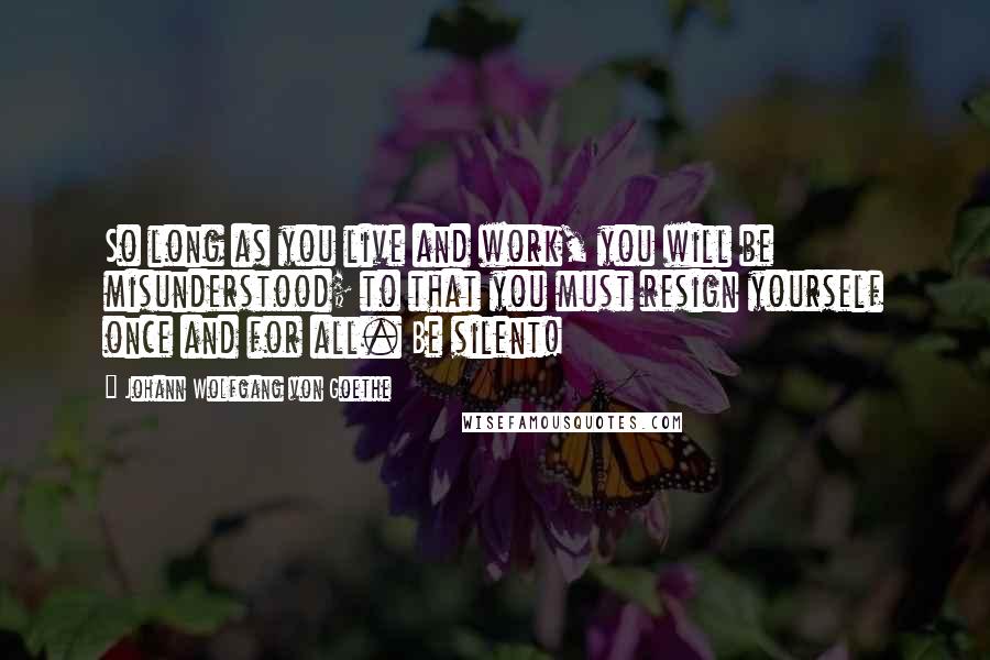 Johann Wolfgang Von Goethe Quotes: So long as you live and work, you will be misunderstood; to that you must resign yourself once and for all. Be silent!