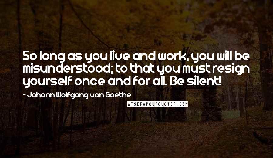 Johann Wolfgang Von Goethe Quotes: So long as you live and work, you will be misunderstood; to that you must resign yourself once and for all. Be silent!