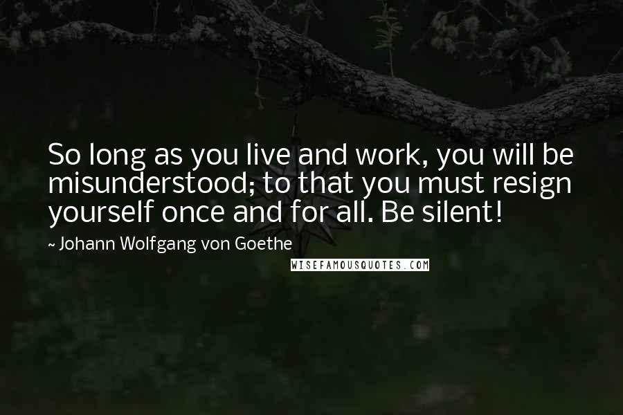 Johann Wolfgang Von Goethe Quotes: So long as you live and work, you will be misunderstood; to that you must resign yourself once and for all. Be silent!