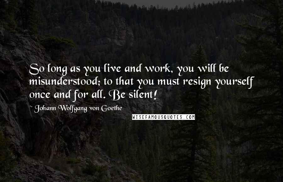 Johann Wolfgang Von Goethe Quotes: So long as you live and work, you will be misunderstood; to that you must resign yourself once and for all. Be silent!
