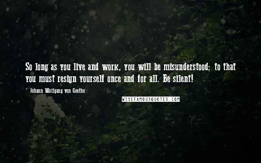 Johann Wolfgang Von Goethe Quotes: So long as you live and work, you will be misunderstood; to that you must resign yourself once and for all. Be silent!