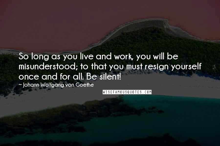 Johann Wolfgang Von Goethe Quotes: So long as you live and work, you will be misunderstood; to that you must resign yourself once and for all. Be silent!