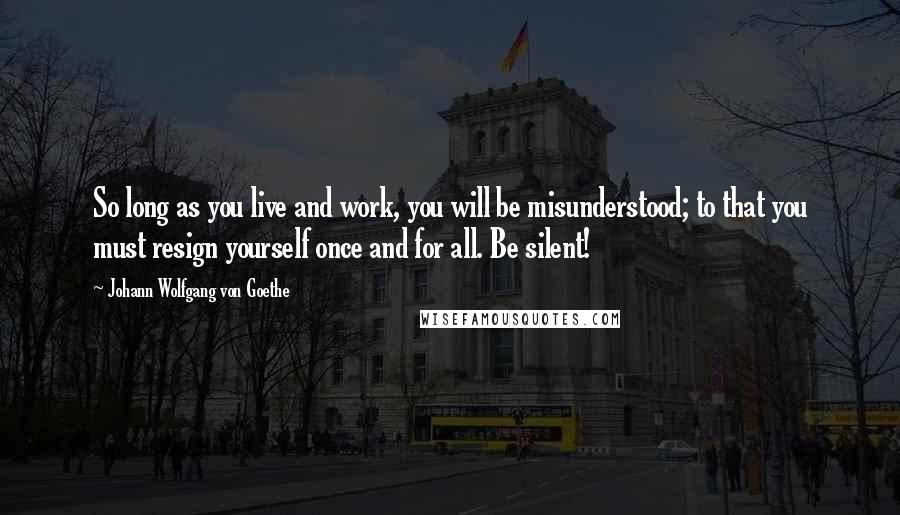 Johann Wolfgang Von Goethe Quotes: So long as you live and work, you will be misunderstood; to that you must resign yourself once and for all. Be silent!