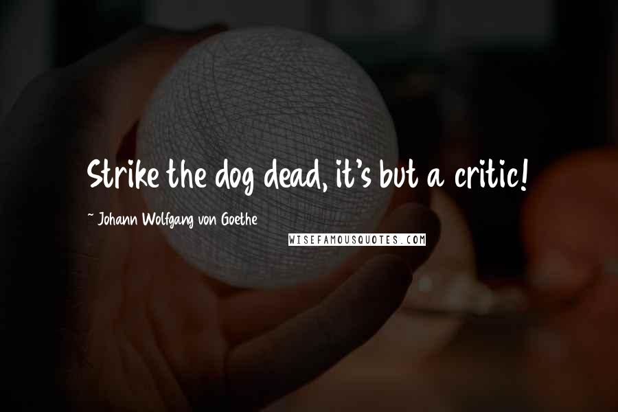 Johann Wolfgang Von Goethe Quotes: Strike the dog dead, it's but a critic!