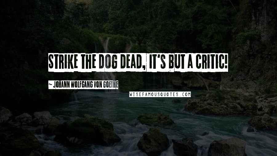 Johann Wolfgang Von Goethe Quotes: Strike the dog dead, it's but a critic!