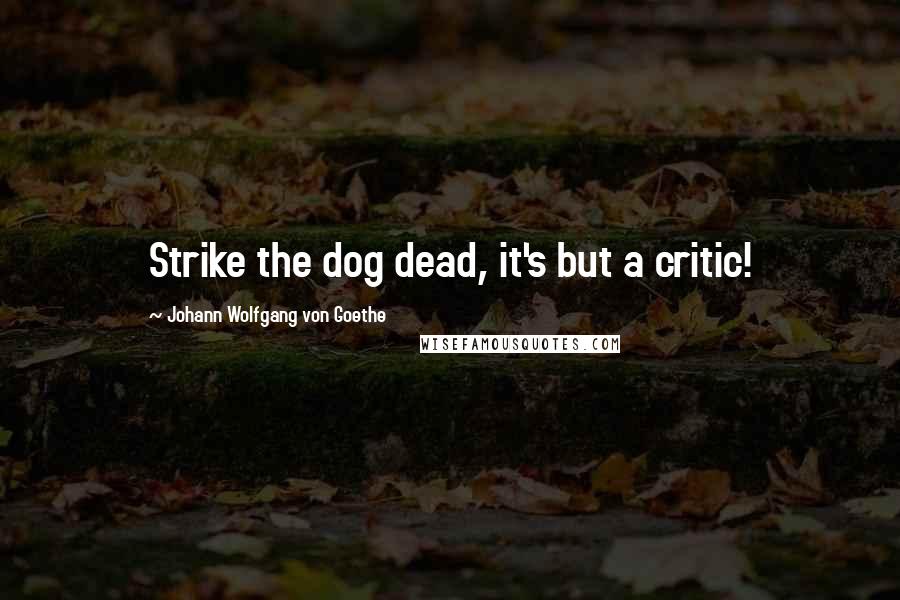 Johann Wolfgang Von Goethe Quotes: Strike the dog dead, it's but a critic!