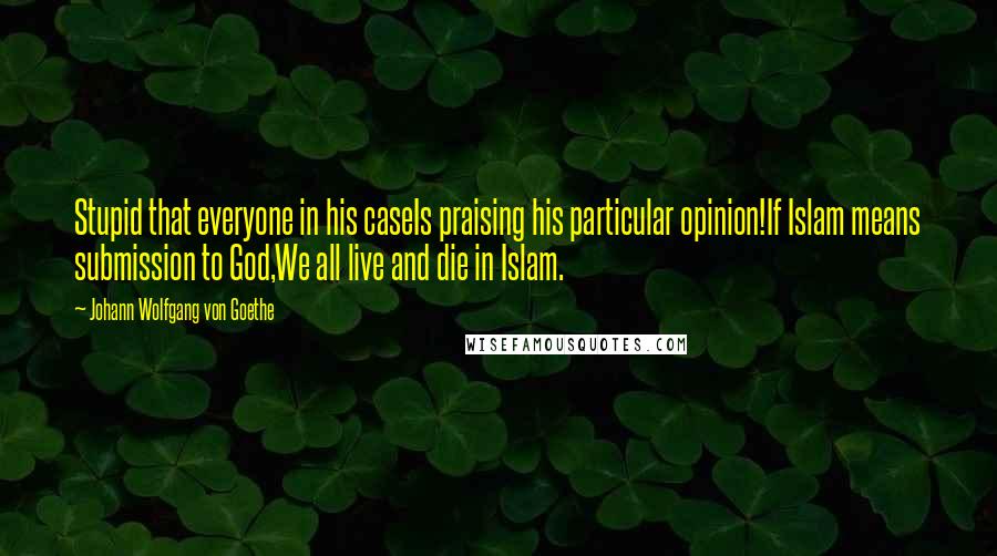 Johann Wolfgang Von Goethe Quotes: Stupid that everyone in his caseIs praising his particular opinion!If Islam means submission to God,We all live and die in Islam.