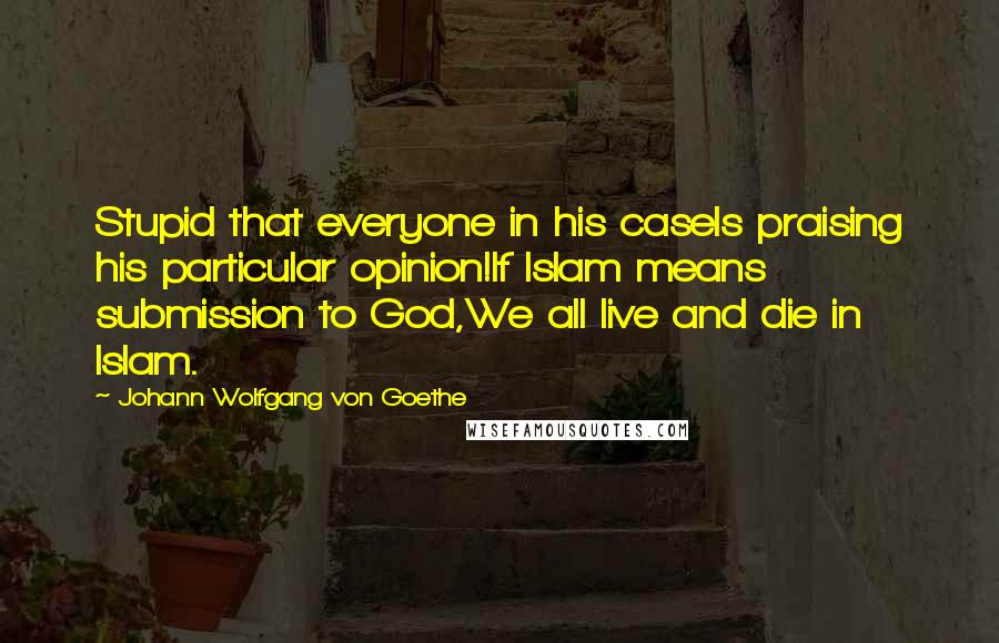 Johann Wolfgang Von Goethe Quotes: Stupid that everyone in his caseIs praising his particular opinion!If Islam means submission to God,We all live and die in Islam.