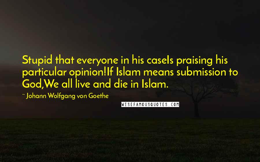 Johann Wolfgang Von Goethe Quotes: Stupid that everyone in his caseIs praising his particular opinion!If Islam means submission to God,We all live and die in Islam.
