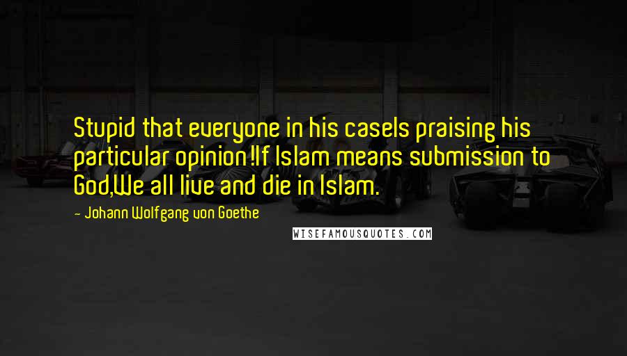 Johann Wolfgang Von Goethe Quotes: Stupid that everyone in his caseIs praising his particular opinion!If Islam means submission to God,We all live and die in Islam.