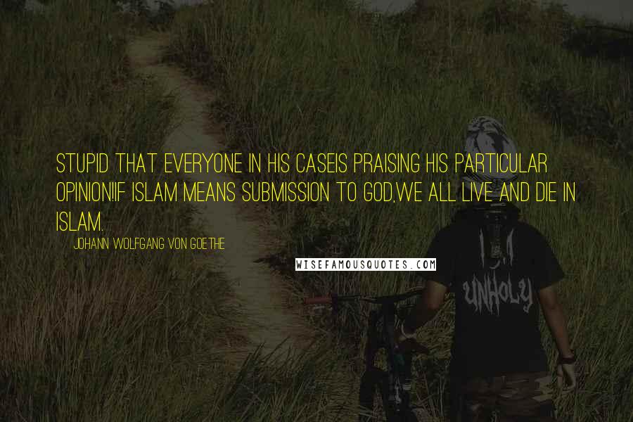 Johann Wolfgang Von Goethe Quotes: Stupid that everyone in his caseIs praising his particular opinion!If Islam means submission to God,We all live and die in Islam.