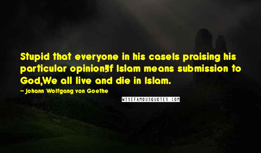 Johann Wolfgang Von Goethe Quotes: Stupid that everyone in his caseIs praising his particular opinion!If Islam means submission to God,We all live and die in Islam.
