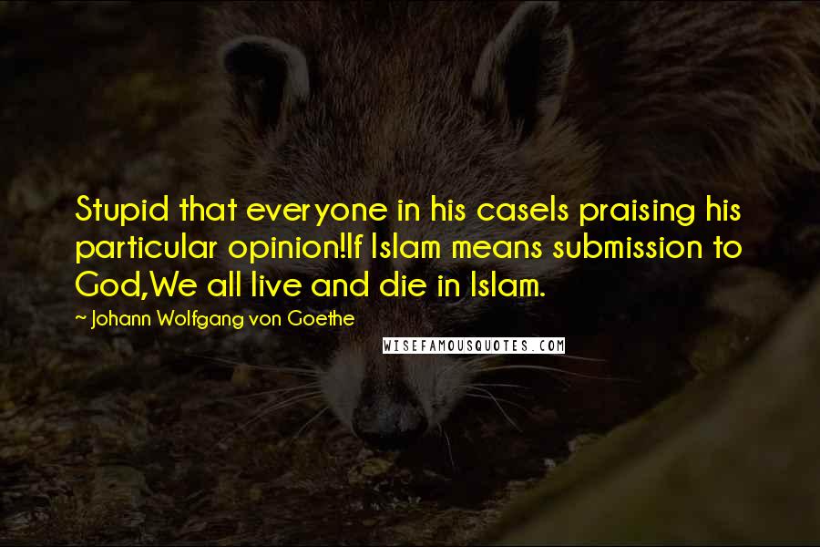 Johann Wolfgang Von Goethe Quotes: Stupid that everyone in his caseIs praising his particular opinion!If Islam means submission to God,We all live and die in Islam.